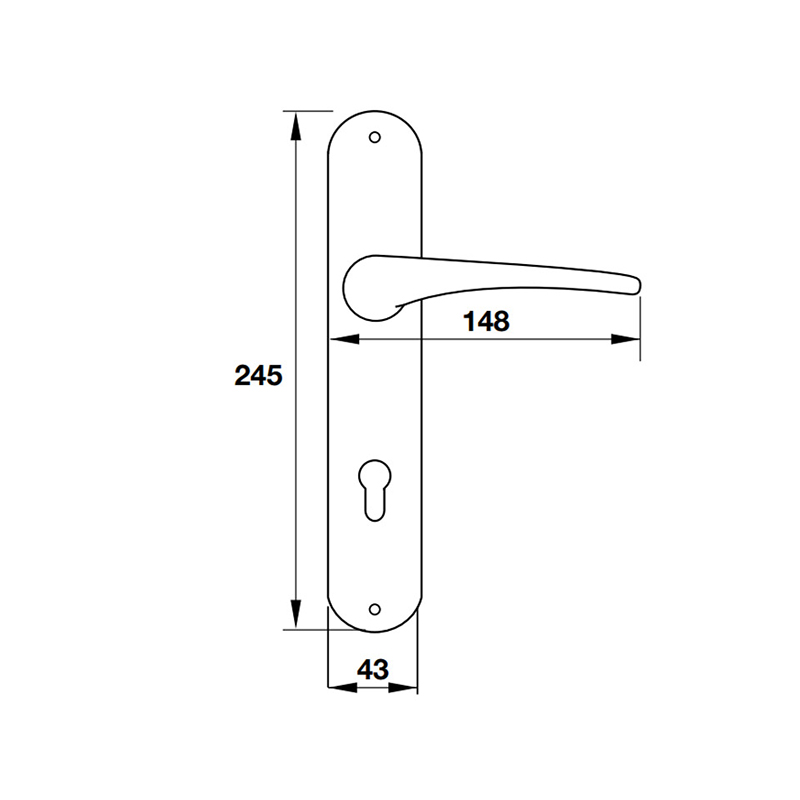 Thông số kĩ thuật tay nắm khóa inox 304 Hafele 901.79.084 250mm