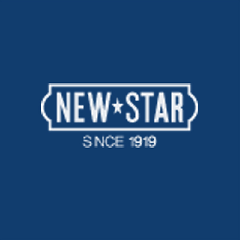 Logo Newstar