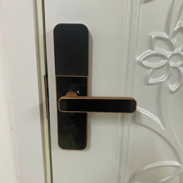 Khóa vân tay cửa phòng ngủ KVT018 viền đồng
