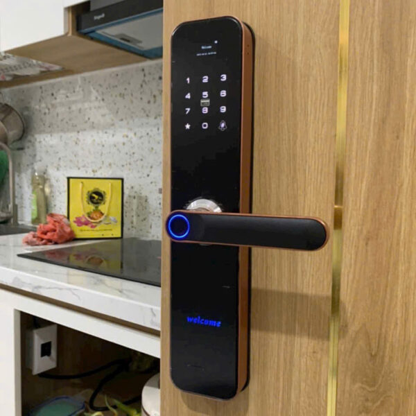 Khóa vân tay cửa phòng ngủ KVT018 viền đồng